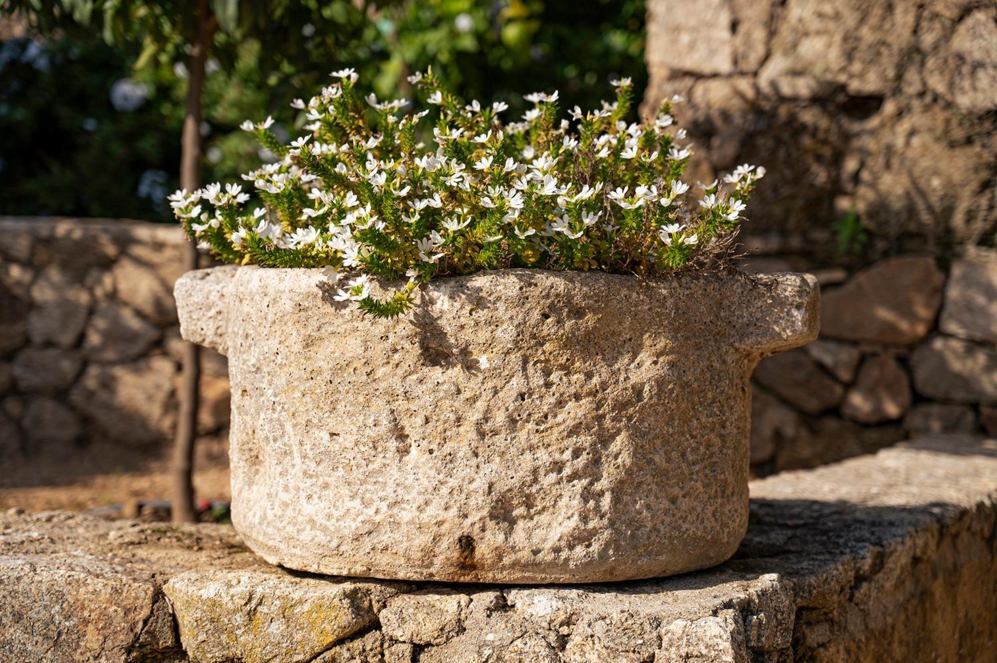 Le Clos De Mansart Grimaud Dış mekan fotoğraf