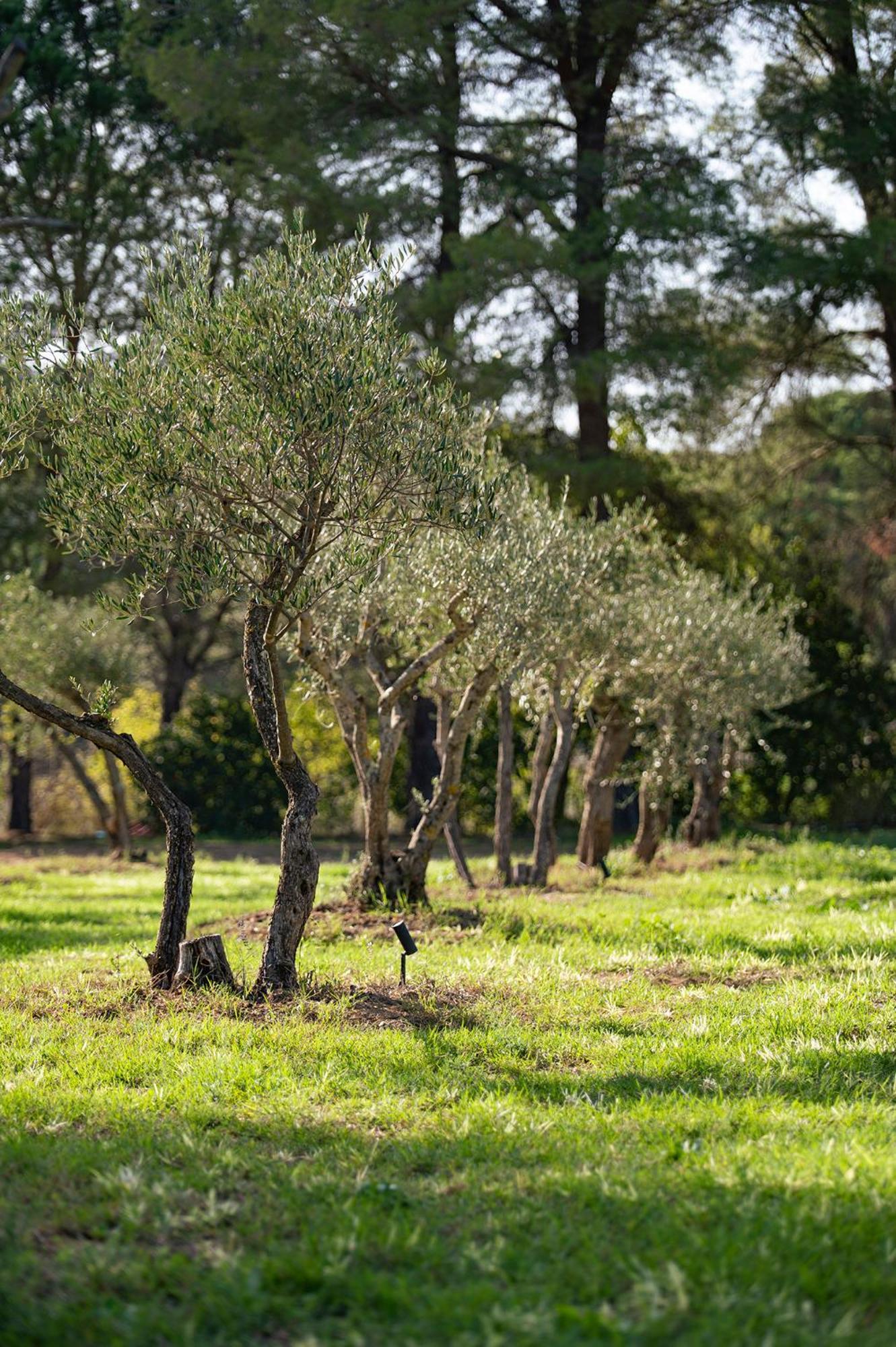 Le Clos De Mansart Grimaud Dış mekan fotoğraf