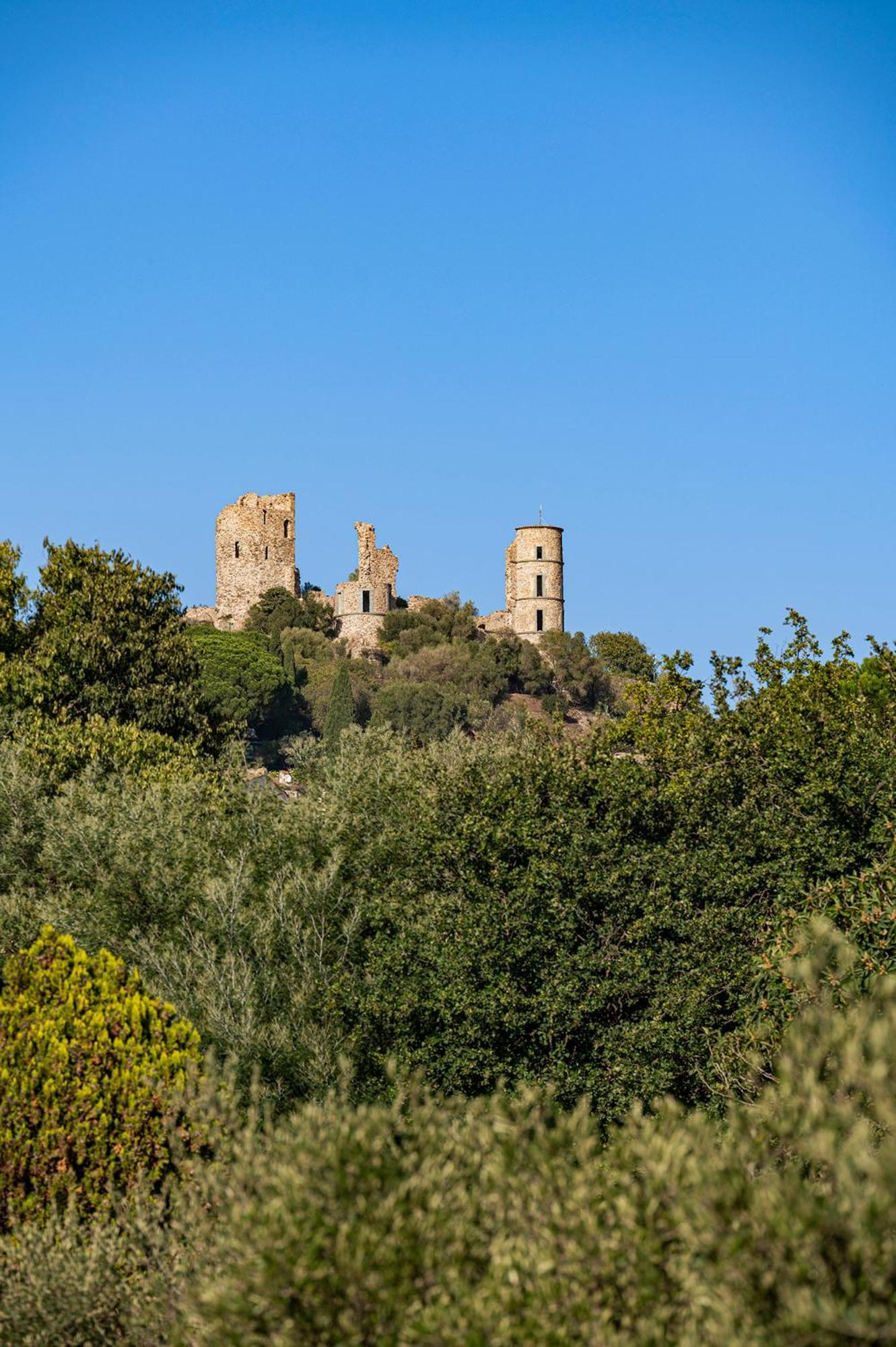 Le Clos De Mansart Grimaud Dış mekan fotoğraf